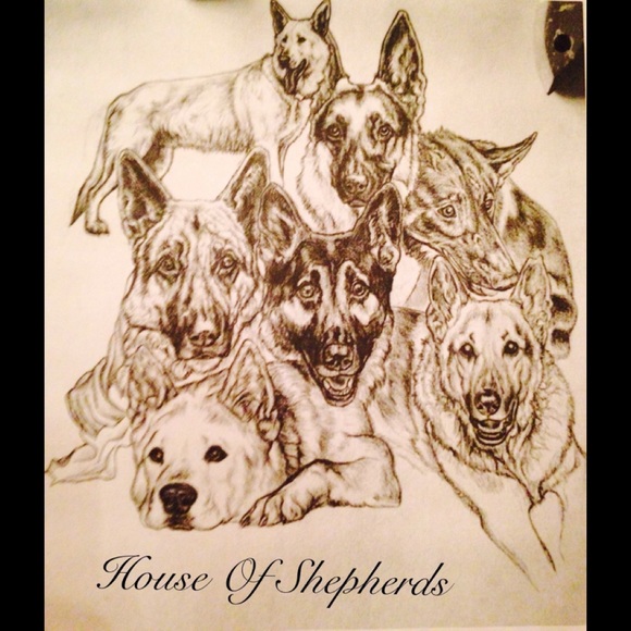 Meet your Posher, Kara - Picture 7 of 8